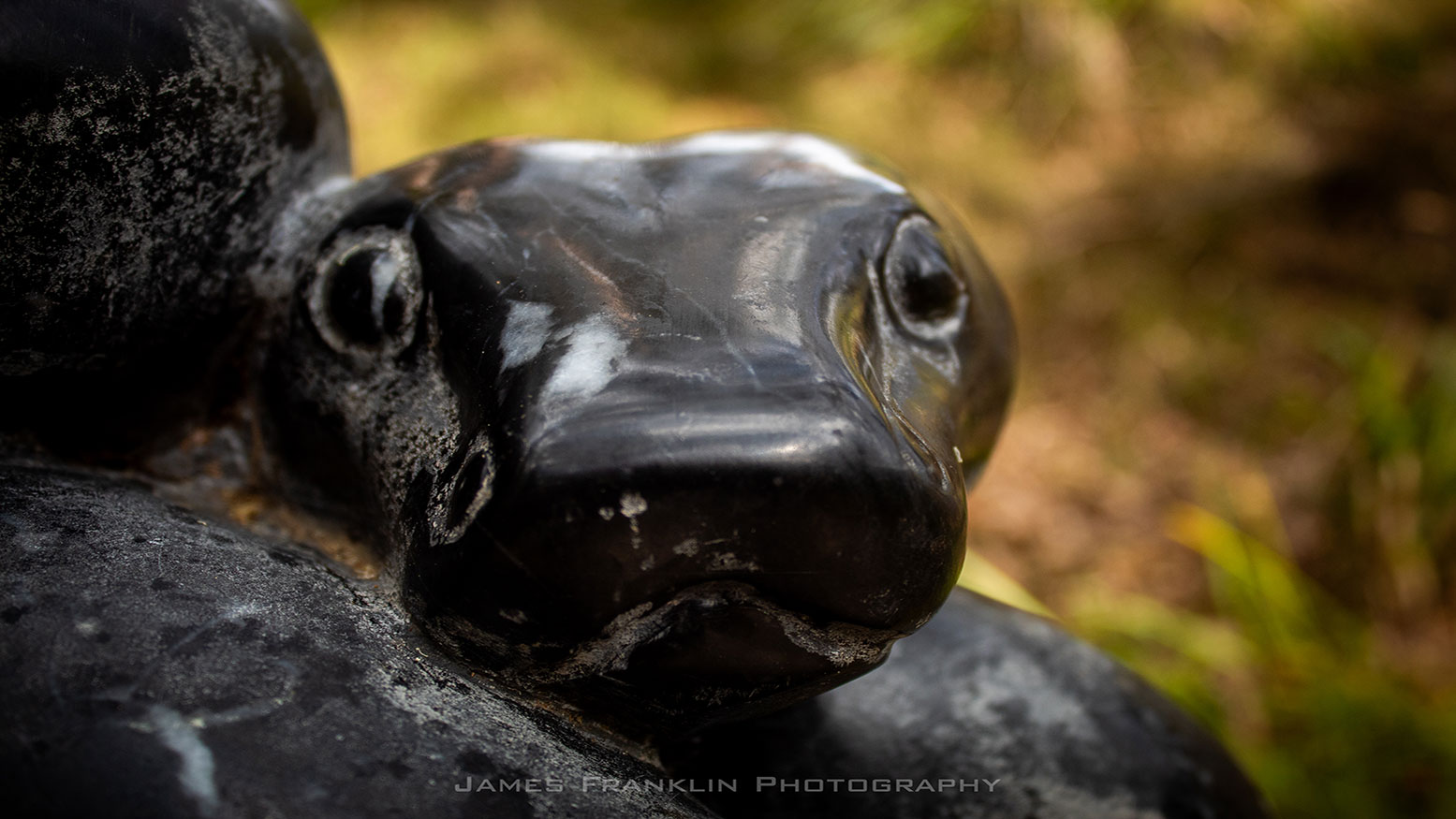 Black Snake Sculpture